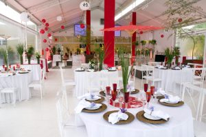 Barbara 18 anos (15)